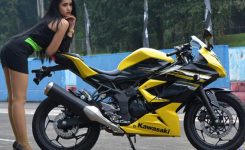 ninja-rr-mono