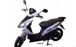 tiger-power08
