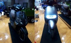 viar-pulse-q1