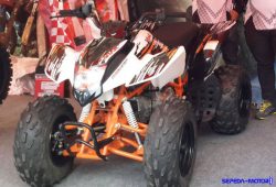 Mengenal ATV Murah Milik Viar, Razor 100SP dan Razor 150SP