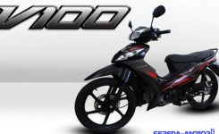 viar-v100