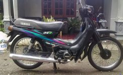yamaha-alfa