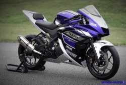 Yamaha R25, Motor Sport Entry-Level Serupa MotoGP