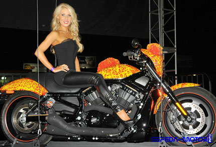 harley davidson cosmic starship